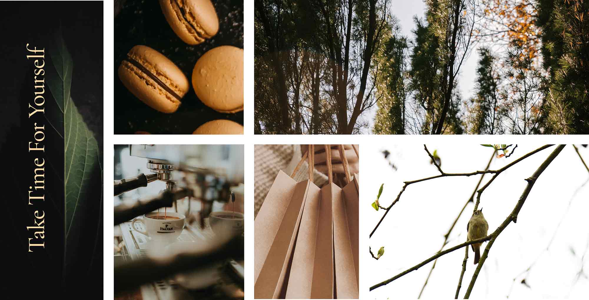 naomi5_sviva320 main pic 2001x1020